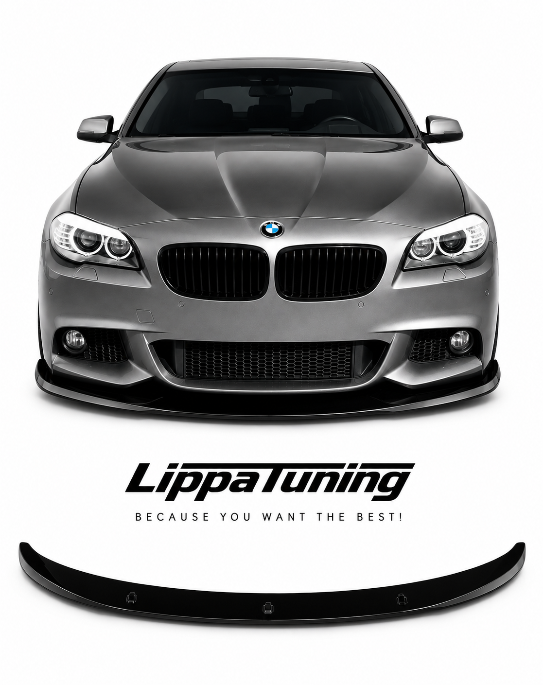 BMW F10 F11 msport etulippa